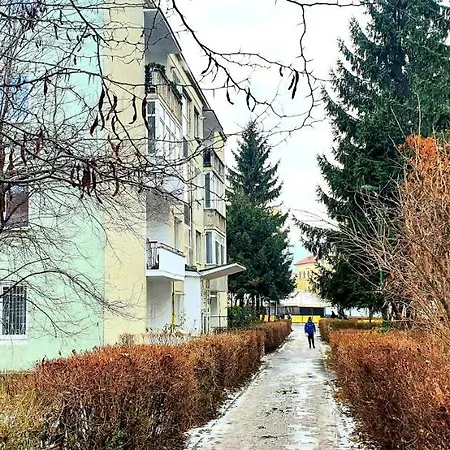 5 Min To Everything-stylish-modern-old Center Apartman Brassó