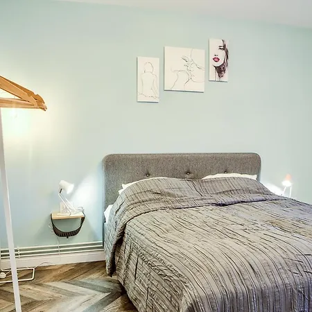 Appartement 5 Min To Everything-stylish-modern-old Center Braşov