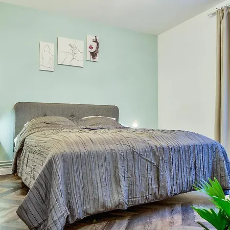 Apartment 5 Min To Everything-stylish-modern-old Center Brașov