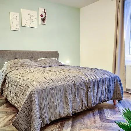5 Min To Everything-stylish-modern-old Center Brasov