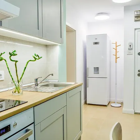 5 Min To Everything-stylish-modern-old Center Braşov