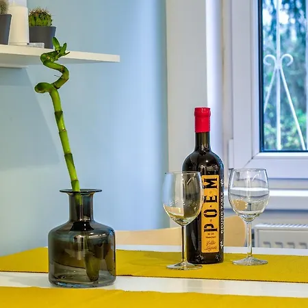 Apartman 5 Min To Everything-stylish-modern-old Center Brassó