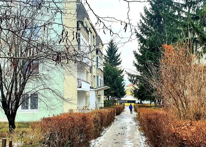 5 Min To Everything-stylish-modern-old Center Apartment Brasov