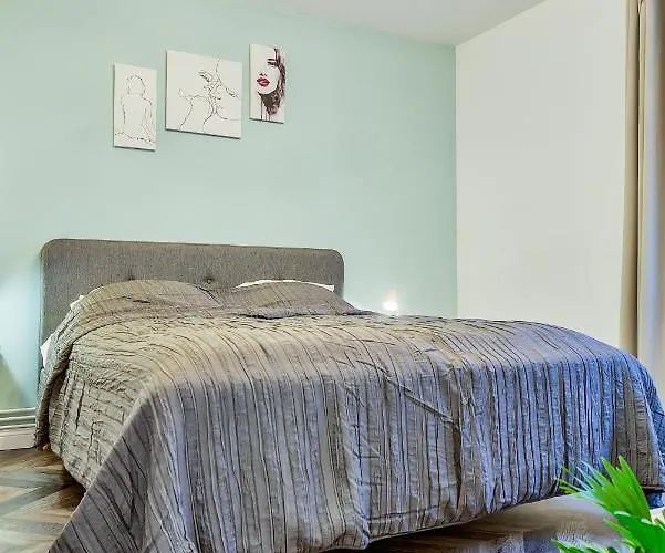 Apartment 5 Min To Everything-stylish-modern-old Center Brasov