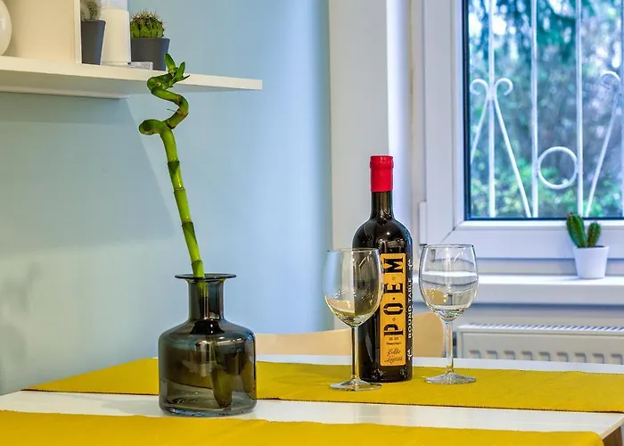 Apartment 5 Min To Everything-stylish-modern-old Center Brasov